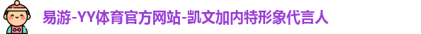 YY易游体育